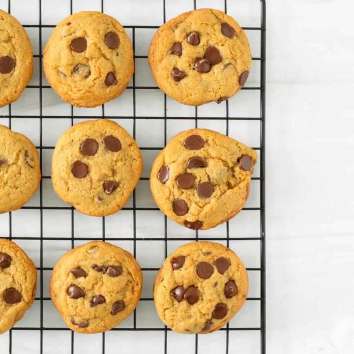 These gluten-free sourdough chocolate chip cookies are soft, chewy chocolate chip cookies made with gluten-free sourdough starter discard.