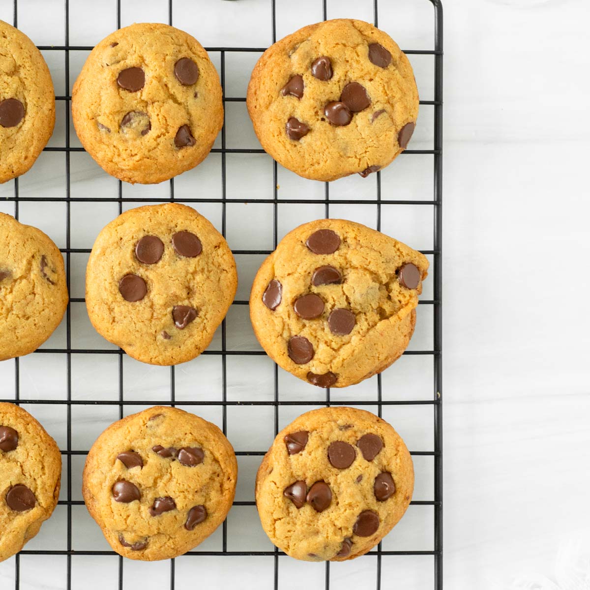 These gluten-free sourdough chocolate chip cookies are soft, chewy chocolate chip cookies made with gluten-free sourdough starter discard.