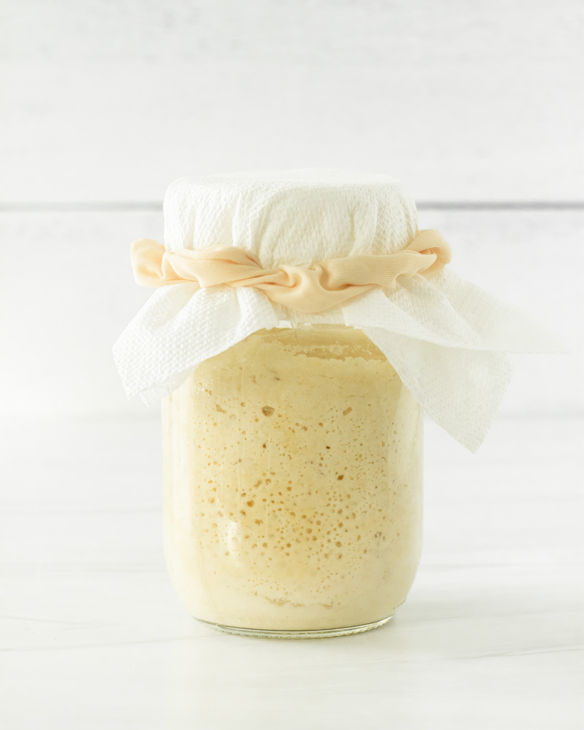 Gluten Free Sourdough Starter Little Bitta Kitchen Gluten free sourdough starter little bitta kitchen
