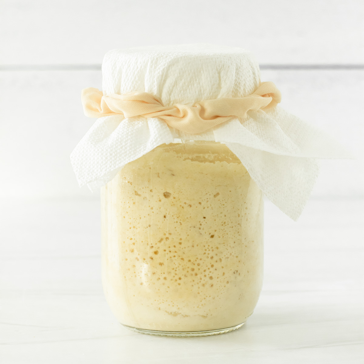 Learn how to make a gluten-free sourdough starter in 7 days and how to maintain a gluten-free sourdough starter to make gluten-free sourdough recipes like gluten-free sourdough bread.