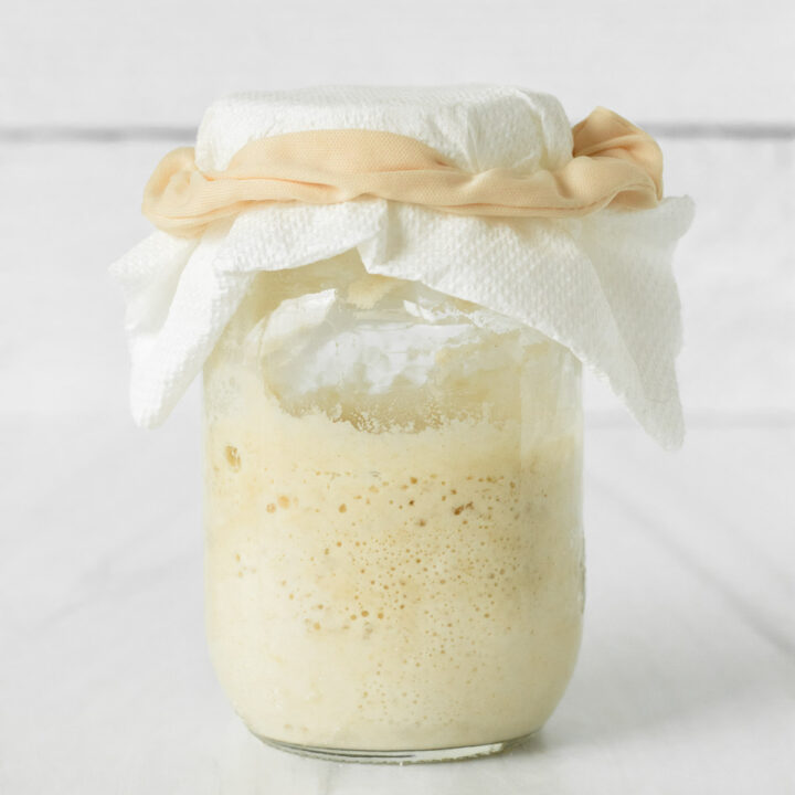 Learn how to make a gluten-free sourdough starter in 7 days and how to maintain a gluten-free sourdough starter to make gluten-free sourdough recipes like gluten-free sourdough bread.