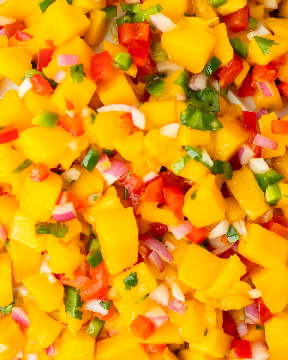 This mango salsa is an easy 6-ingredient salsa recipe perfect for a summer cookout or as a Fourth of July appetizer. Made with simple, flavorful ingredients, this homemade salsa is an easy and delicious summer dish.