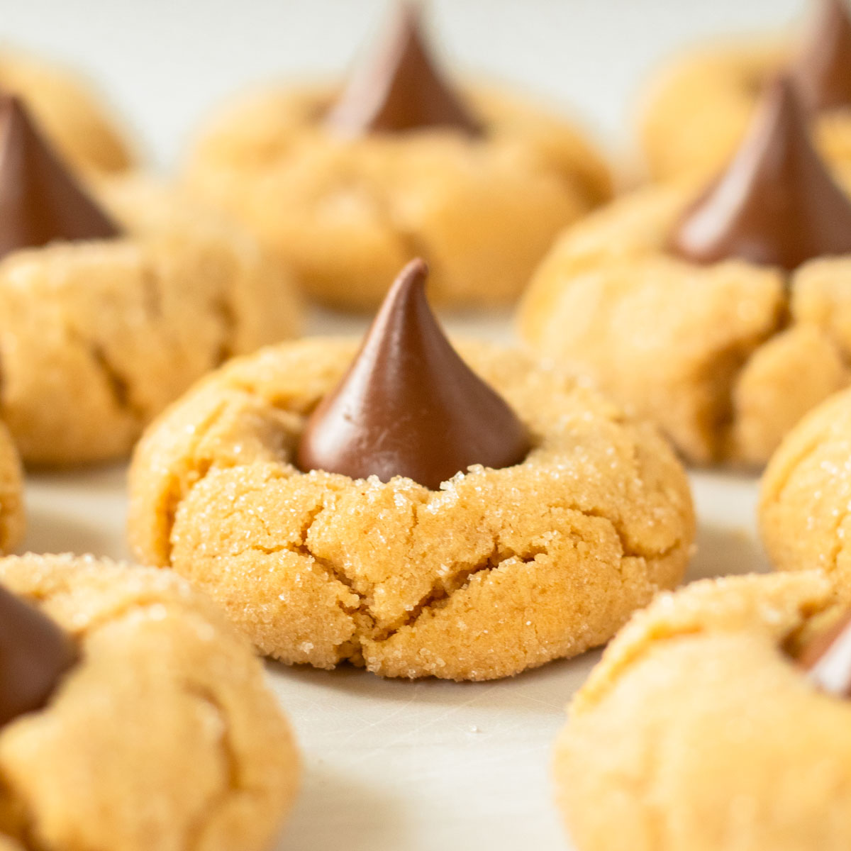 These peanut butter blossoms are a classic Christmas cookie recipe made with a flavorful peanut butter cookie dough rolled in sugar and topped with a chocolate kiss.