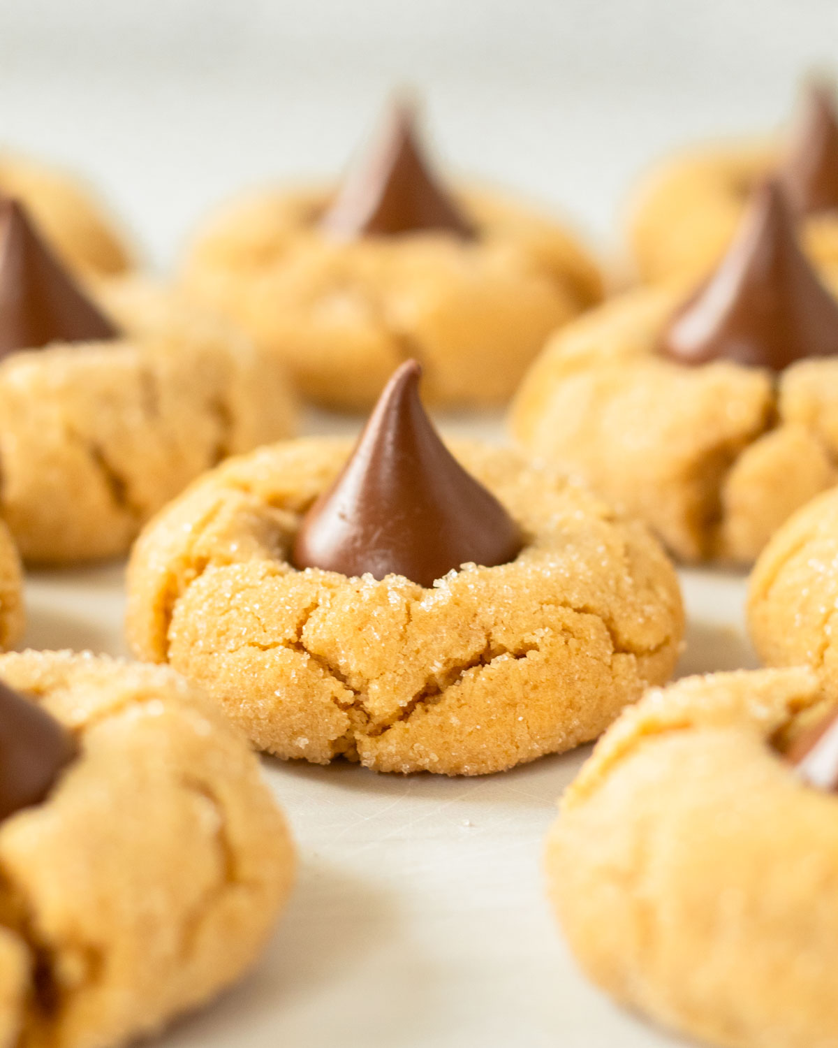 These peanut butter blossoms are a classic Christmas cookie recipe made with a flavorful peanut butter cookie dough rolled in sugar and topped with a chocolate kiss.