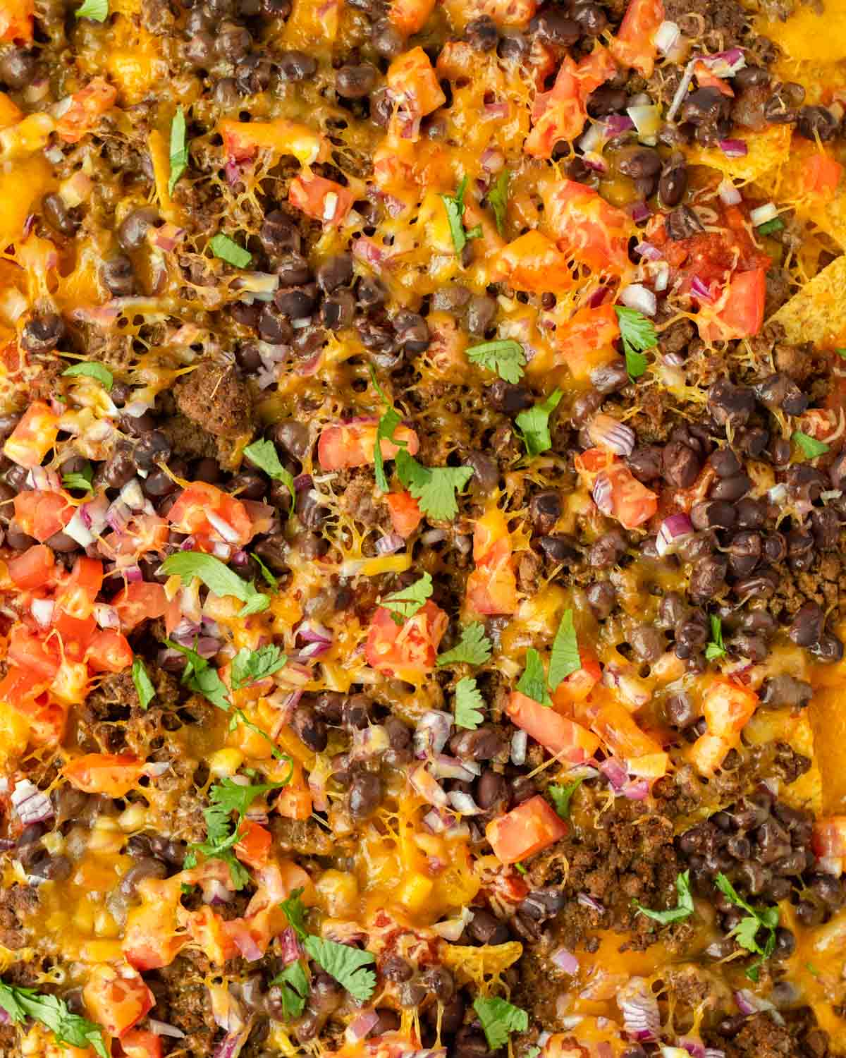 These sheet pan nachos are an easy appetizer recipe made with pantry-staple ingredients for a quick and flavorful crowd-pleaser dish. This recipe can be served for a game day appetizer but is also a great quick weeknight meal.