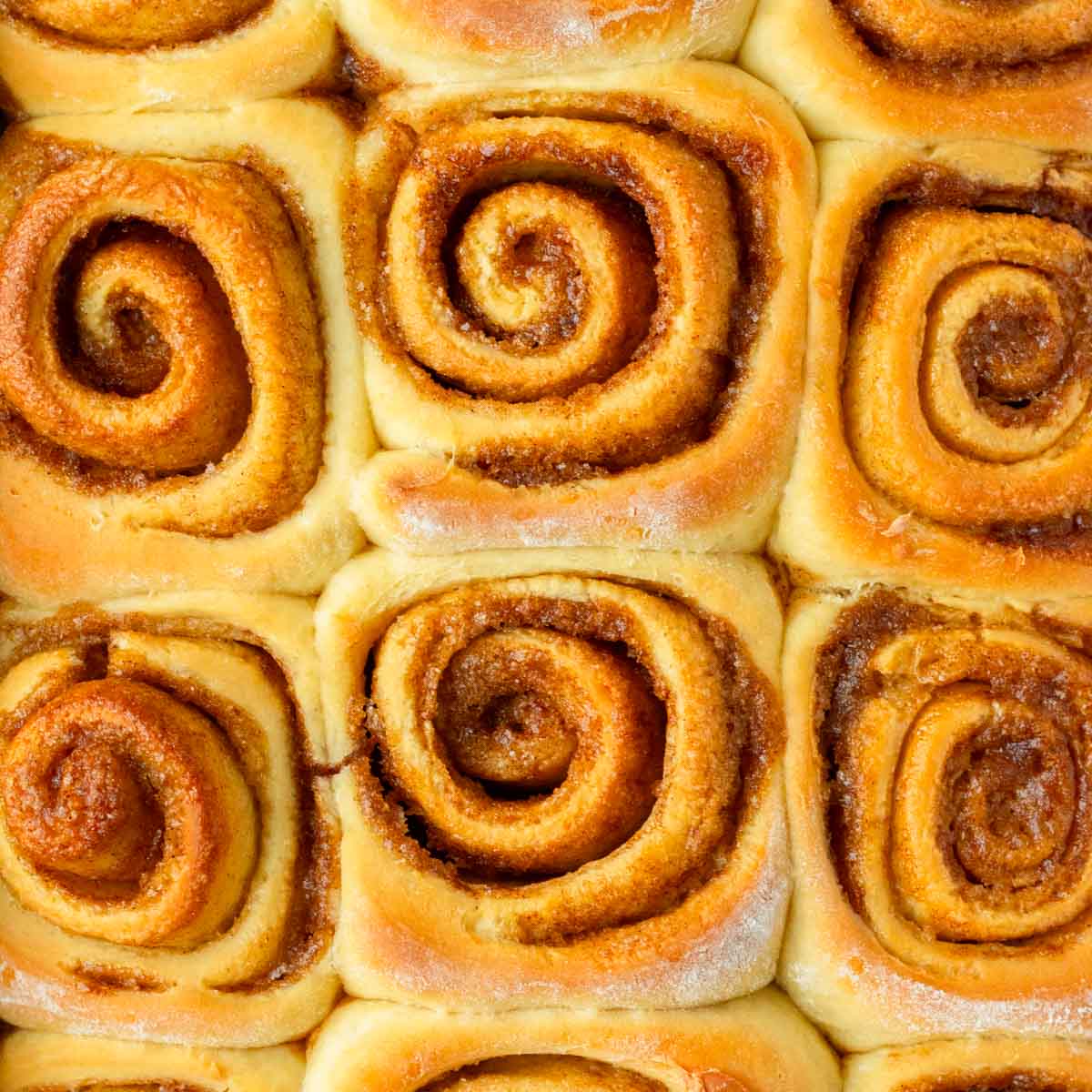 These cinnamon rolls are the best classic soft, fluffy cinnamon rolls with a gooey cinnamon sugar filling and topped with a deliciously creamy cream cheese frosting or a classic glaze.