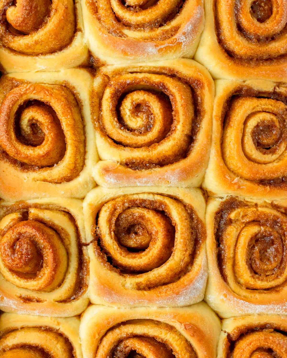 These cinnamon rolls with cream cheese frosting are the best classic soft, fluffy cinnamon rolls with a gooey cinnamon sugar filling and topped with a deliciously creamy cream cheese frosting.