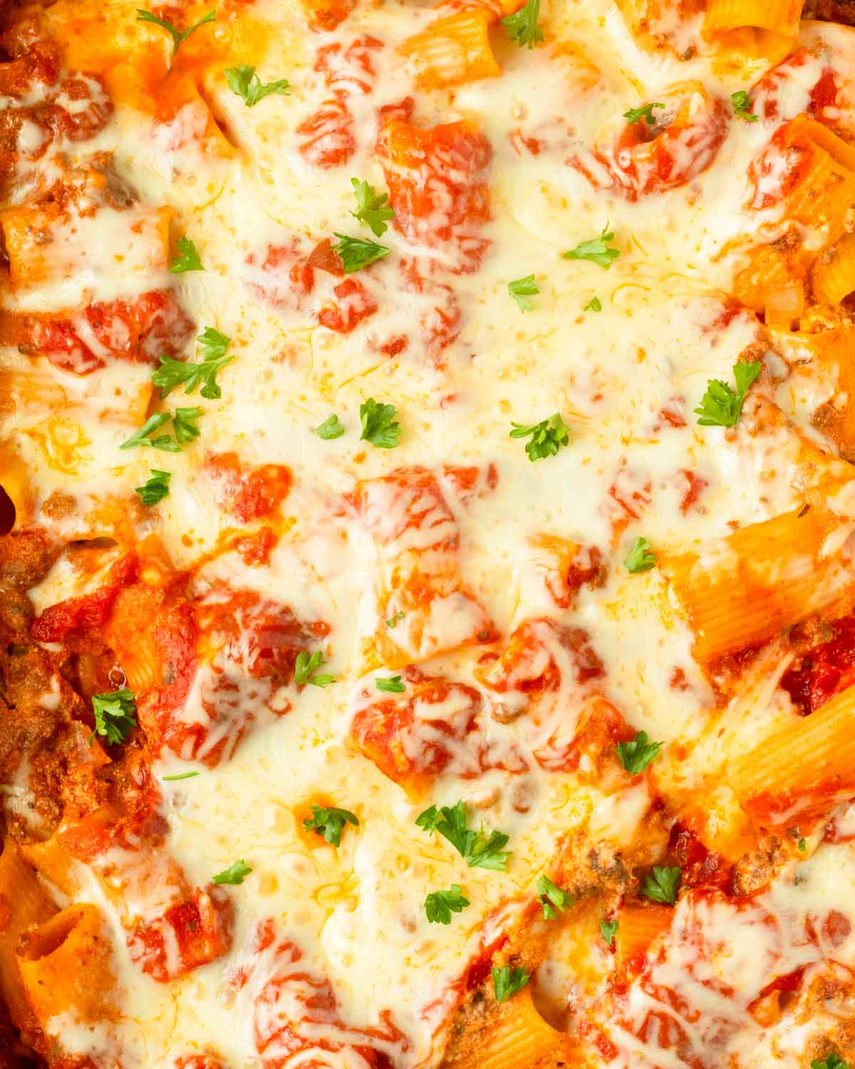 This venison baked ziti is an easy and delicious pasta dish made with venison meat sauce, noodles and cheese layered in a baking dish for a filling and flavorful dinner.