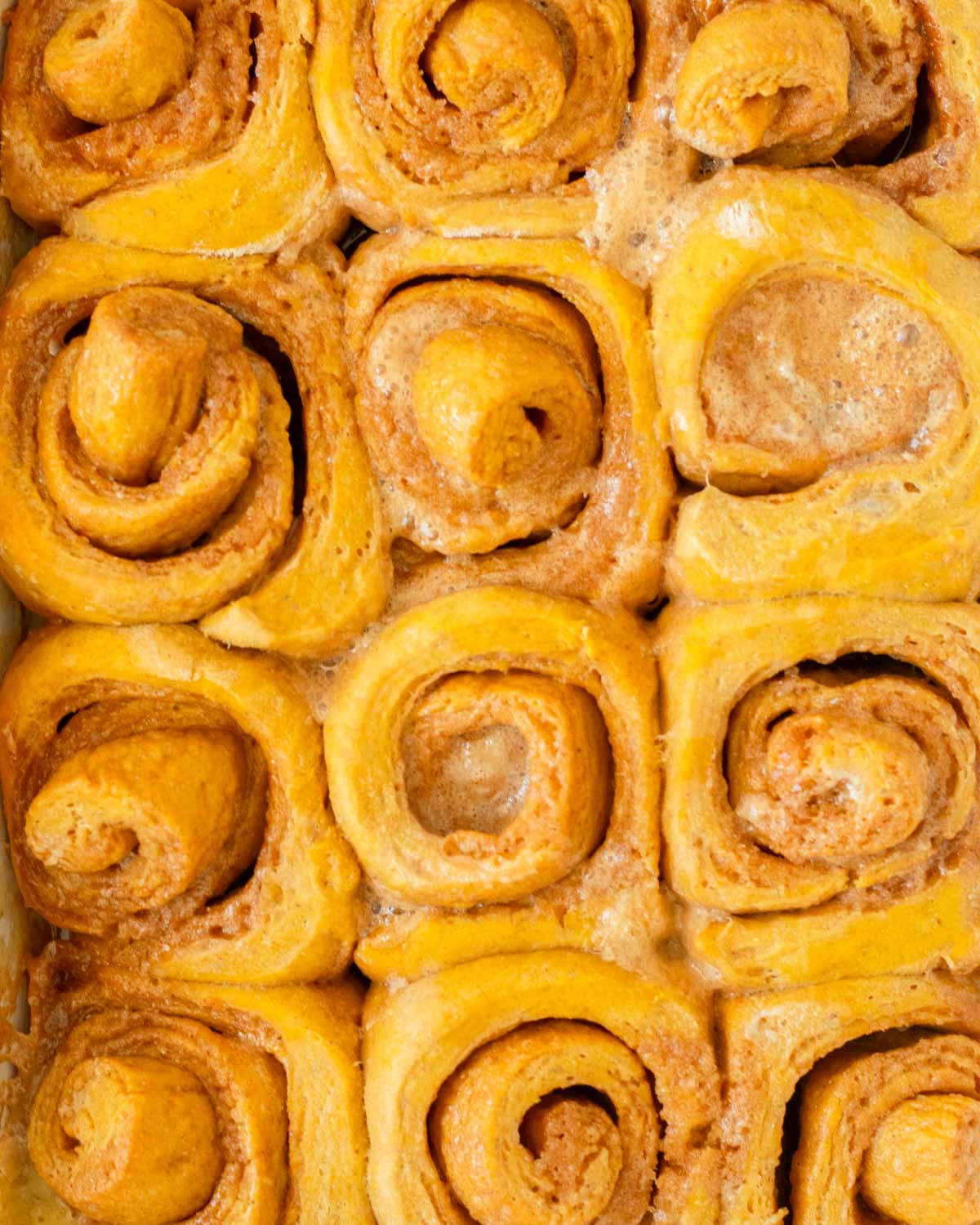 These pumpkin cinnamon rolls are the best classic soft and fluffy pumpkin cinnamon rolls made with pumpkin puree and fall spices, filled with a gooey cinnamon sugar filling and topped with a delicious cream cheese frosting.
